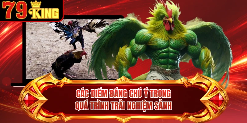 Các điểm đáng chú ý trong quá trình trải nghiệm sảnh
