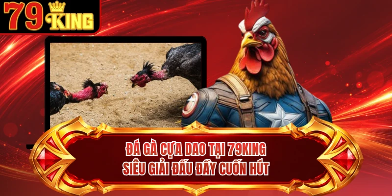 Đá Gà Cựa Dao Tại 79KING - Siêu Giải Đấu Đầy Cuốn Hút