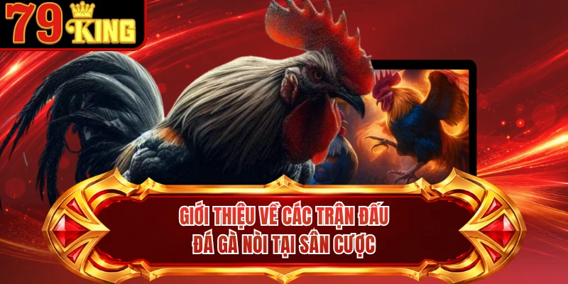 Giới thiệu về các trận đấu đá gà nòi tại sân cược
