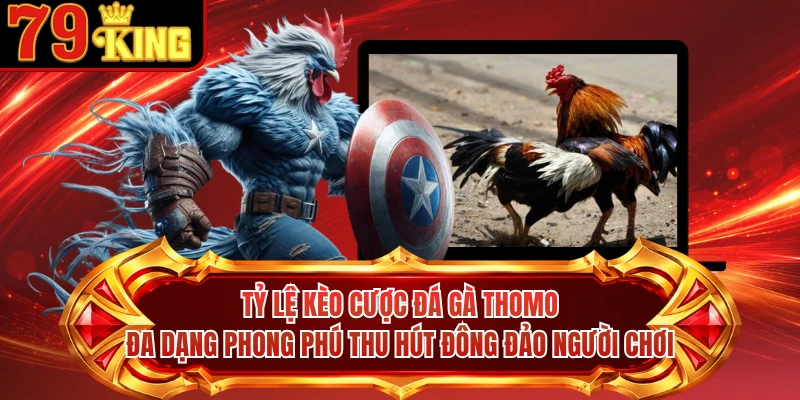 Tỷ lệ kèo cược đá gà Thomo đa dạng phong phú thu hút đông đảo người chơi
